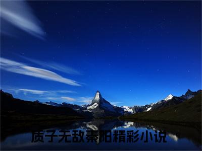 质子无敌秦阳（质子无敌秦阳全文免费）小说全文免费阅读无弹窗大结局_（质子无敌秦阳）最新章节列表（质子无敌秦阳后续）