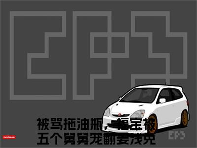 私藏读物《被骂拖油瓶，福宝被五个舅舅宠翻姜浅》小说全文免费阅读-微小说（被骂拖油瓶，福宝被五个舅舅宠翻姜浅）完整版阅读
