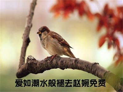 爱如潮水般褪去赵婉(爱如潮水般褪去赵婉)全文无弹窗大结局_爱如潮水般褪去赵婉在线阅读无弹窗最新章节列表_笔趣阁