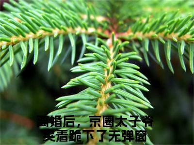 离婚后，京圈太子爷哭着跪下了（权时言千云漓）小说全文无删减版在线阅读_权时言千云漓（离婚后，京圈太子爷哭着跪下了无弹窗）_笔趣阁
