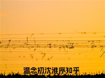 温念初沈淮序免费小说全文免费阅读无弹窗大结局_温念初沈淮序完结版在线阅读