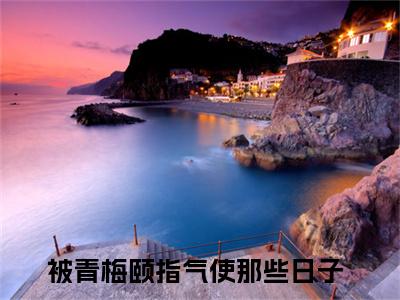 江入年陈着（被青梅颐指气使那些日子）全文免费阅读无弹窗_江入年陈着最新小说_笔趣阁
