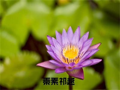 疯犬不可驯（秦素祁越）全文免费阅读无弹窗_疯犬不可驯（秦素祁越小说完整版）最新章节列表