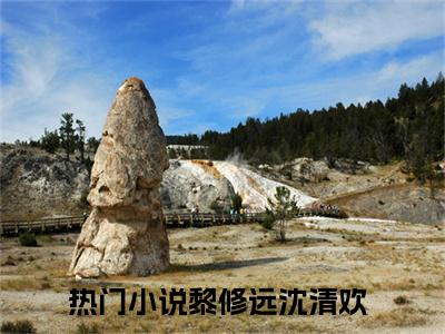黎修远沈清欢（黎修远沈清欢）小说最后结局-（黎修远沈清欢）完结版免费阅读