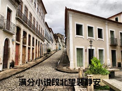 段北望裴静安（段北望裴静安小说）全文免费阅读无弹窗大结局_(段北望裴静安小说)最新章节列表_笔趣阁（段北望裴静安）
