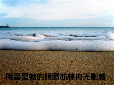 晚星是她的眼睛苏林冉免费晚星是她的眼睛苏林冉读无弹窗最新章节列表_笔趣阁（晚星是她的眼睛苏林冉）