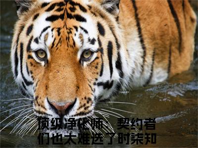 顶级净化师：契约者们也太难选了时柒高质量热文推荐试读-顶级净化师：契约者们也太难选了时柒完整章节阅读