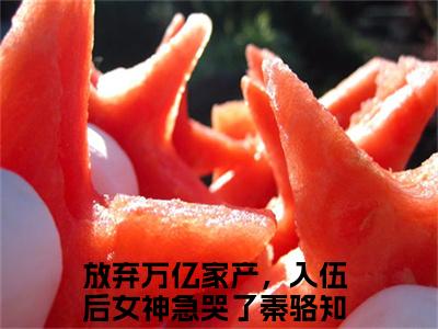 放弃万亿家产，入伍后女神急哭了秦骆小说（放弃万亿家产，入伍后女神急哭了秦骆）全文免费阅读无弹窗_放弃万亿家产，入伍后女神急哭了秦骆小说最新章节免费阅读_笔趣阁