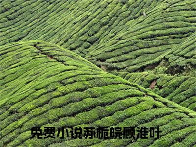 苏栀皖顾淮叶全文免费阅读（苏栀皖顾淮叶小说）全文免费阅读无弹窗大结局_(苏栀皖顾淮叶小说小说免费阅读)最新章节列表_（苏栀皖顾淮叶）