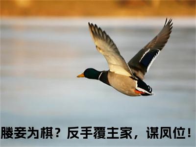 东方靖华颂宜小说免费阅读无弹窗-东方靖华颂宜（媵妾为棋？反手覆主家，谋凤位！）小说免费阅读无弹窗大结局