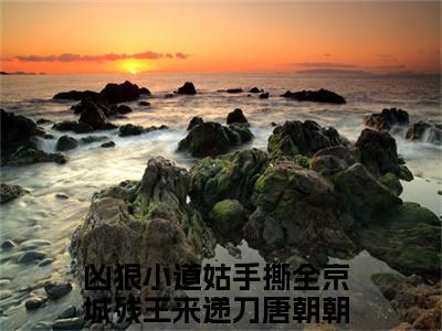 凶狠小道姑手撕全京城残王来递刀唐朝朝免费阅读，主角为凶狠小道姑手撕全京城残王来递刀唐朝朝的言情小说