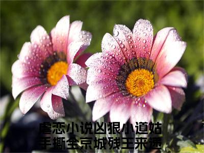 凶狠小道姑手撕全京城残王来递刀唐朝朝小说（凶狠小道姑手撕全京城残王来递刀唐朝朝）全文免费阅读无弹窗大结局_(凶狠小道姑手撕全京城残王来递刀唐朝朝小说)凶狠小道姑手撕全京城残王来递刀唐朝朝小说免费阅读无弹窗最新章节列表_笔趣阁（凶狠小道姑手撕全京城残王来递刀唐朝朝）