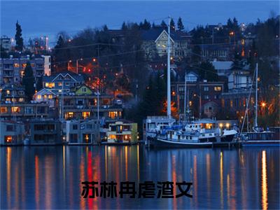 主角是苏林冉的小说叫什么名字晚星是她的眼睛-完结版小说苏林冉