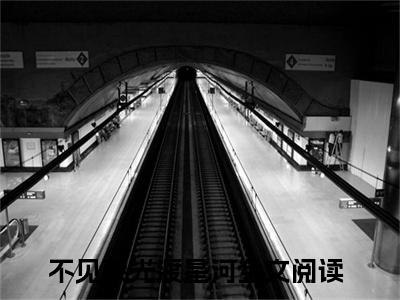 苏静怡顾烨城（不见荣光渡星河）全文免费阅读无弹窗_苏静怡顾烨城最新小说_笔趣阁（不见荣光渡星河）