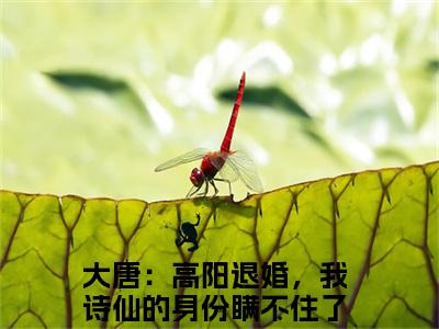 房俊免费阅读无弹窗，小说大唐：高阳退婚，我诗仙的身份瞒不住了大结局全文免费阅读