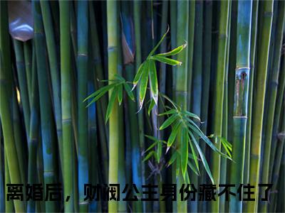 宋知希傅瑾轩:离婚后，财阀公主身份藏不住了全文免费阅读无弹窗大结局_宋知希傅瑾轩:离婚后，财阀公主身份藏不住了免费阅读
