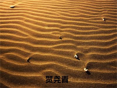 贺尧青小说（南来北往不同路）全文免费阅读无弹窗大结局_（贺尧青）南来北往不同路小说免费阅读最新章节列表