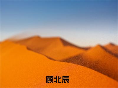 顾北辰（爱无双小说）全文免费阅读无弹窗大结局_爱无双小说最新章节列表_笔趣阁（顾北辰）