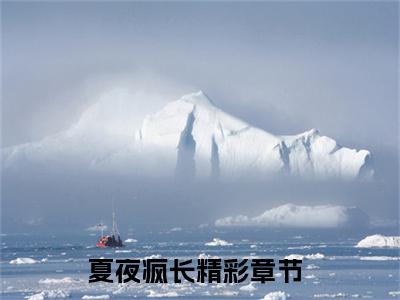 夏夜疯长无广告小说（何青夏严续）全文免费阅读无弹窗大结局-夏夜疯长在线阅读