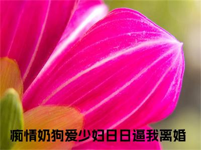 顾姚顾北辰（痴情奶狗爱少妇日日逼我离婚全文免费阅读）_顾姚顾北辰小说最新章节免费阅读