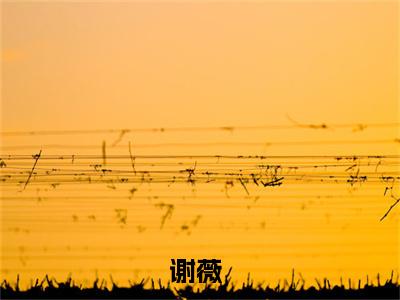谢薇小说全文免费阅读_（一微尘里三千界）谢薇完结版在线阅读最新章节列表笔趣阁