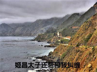 太子还想和我纠缠（姬昌）全文免费阅读无弹窗大结局_（太子还想和我纠缠）最新章节列表_笔趣阁