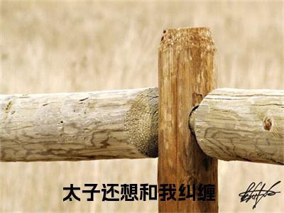 （姬昌抖音小说）太子还想和我纠缠小说全文阅读免费