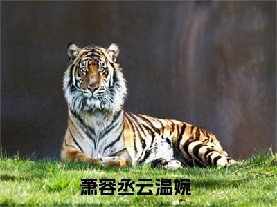 萧容丞云温婉(萧容丞云温婉)是什么小说-热门小说（萧容丞云温婉）最新章节阅读