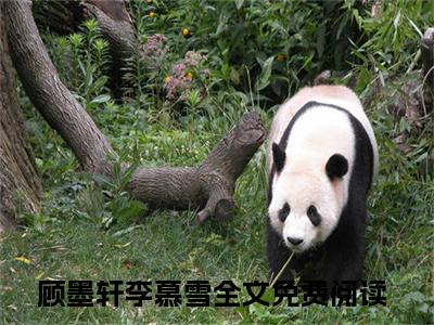 顾墨轩李慕雪小说（顾墨轩李慕雪）最新章节阅读-顾墨轩李慕雪最新热点小说