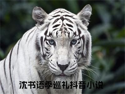 我本佳人免费阅读无弹窗，小说沈书语季巡礼大结局全文免费阅读