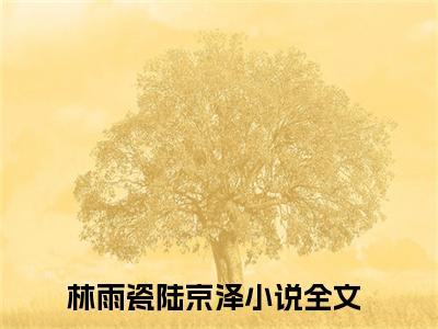 林雨瓷陆京泽小说全文免费阅读-北城以北海未眠小说最新章节列表