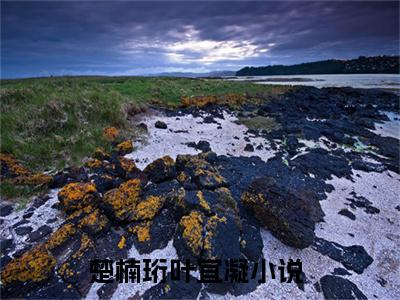 楚楠珩叶宜凝的小说免费阅读（楚楠珩叶宜凝小说免费阅读）全文免费阅读大结局-楚楠珩叶宜凝热门榜单好书推荐