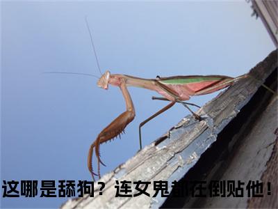 这哪是舔狗？连女鬼都在倒贴他！（陈震）全文免费阅读无弹窗大结局_陈震最新章节列表_笔趣阁（这哪是舔狗？连女鬼都在倒贴他！）