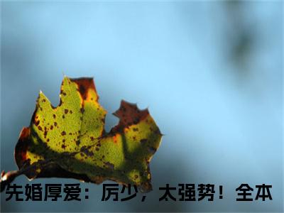 先婚厚爱：厉少，太强势！（虞星月）小说全文免费阅读无弹窗大结局_先婚厚爱：厉少，太强势！全文在线阅读无弹窗