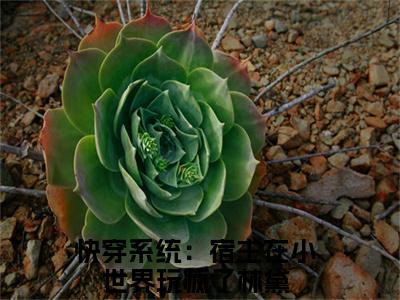 小说（快穿系统：宿主在小世界玩疯了）林黛全文阅读-精彩美文快穿系统：宿主在小世界玩疯了免费阅读