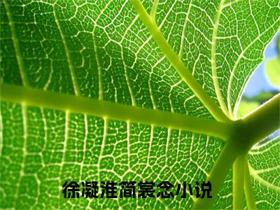 徐凝淮简裳念微小说免费阅读-徐凝淮简裳念言情小说阅读