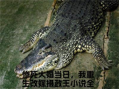 惨死大婚当日，我重生改嫁摄政王正版小说全文阅读姜年燕王无删减版