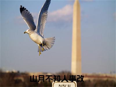 徐翡宁顾景琛无广告小说免费阅读，徐翡宁顾景琛山月不知人事改完结小说在线阅读