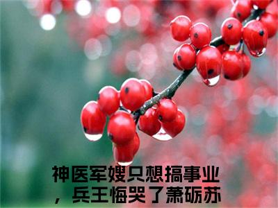 神医军嫂只想搞事业，兵王悔哭了（萧砺苏南音）小说全文免费阅读-神医军嫂只想搞事业，兵王悔哭了（萧砺苏南音）免费在线阅读完整版