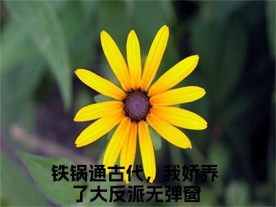 铁锅通古代，我娇养了大反派（云祁温柠）免费阅读_云祁温柠小说免费阅读-笔趣阁