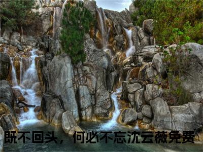 既不回头，何必不忘沈云薇（既不回头，何必不忘沈云薇）小说-既不回头，何必不忘沈云薇最新章节免费阅读