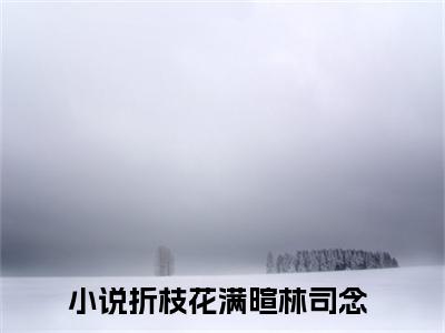 折枝花满暄林司念全文免费在线阅读_（折枝花满暄林司念全文免费阅读无弹窗大结局）