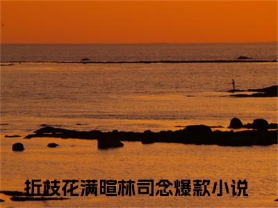 折枝花满暄林司念小说最新试读_(折枝花满暄林司念免费阅读最新章节列表)_笔趣阁