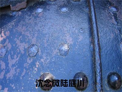 沈念微陆庭川（沈念微陆庭川）最新章节在线阅读 抖音新书热荐沈念微陆庭川