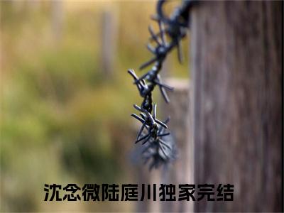 沈念微陆庭川（沈念微陆庭川）是什么小说-沈念微陆庭川小说全文阅读