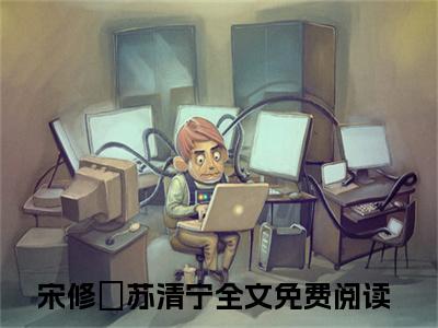 宋修璟苏清宁全集完整版大结局-宋修璟苏清宁小说在线赏析