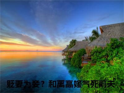 贬妻为妾？和离高嫁气死前夫（云枝东离陆苍）小说全文无删减版完整版_贬妻为妾？和离高嫁气死前夫最新章节列表_笔趣阁