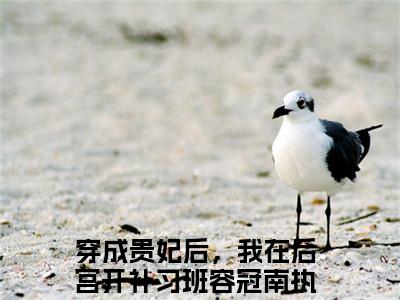 容冠南执小说全文免费阅读-（穿成贵妃后，我在后宫开补习班）抖音新书热荐容冠南执全文免费阅读