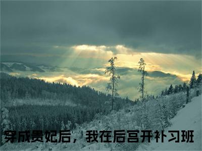 穿成贵妃后，我在后宫开补习班小说（容冠南执）全文免费阅读无弹窗_穿成贵妃后，我在后宫开补习班小说全文免费阅读）容冠南执最新章节列表笔趣阁