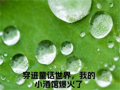 姜姜辛迪（穿进童话世界，我的小酒馆爆火了）高质量小说推荐阅读-最新小说穿进童话世界，我的小酒馆爆火了全文阅读